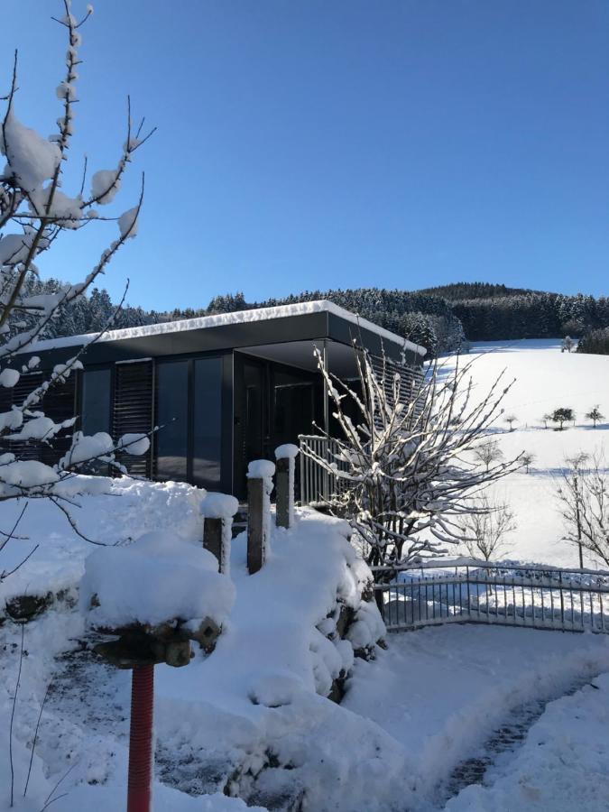 S-Suite Das Design-Ferienhaus Im Schwarzwald Biberach  Esterno foto