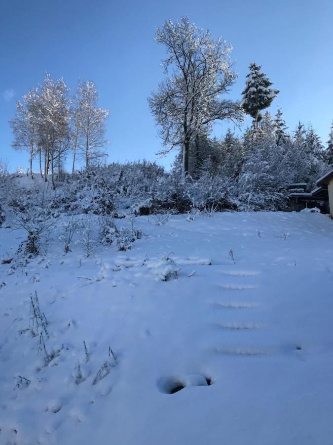 S-Suite Das Design-Ferienhaus Im Schwarzwald Biberach  Esterno foto